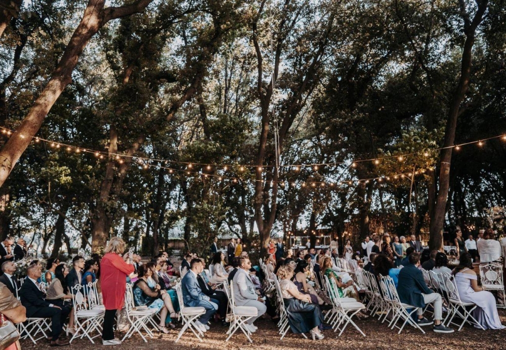 Wedding in the Woods Wedding in the Woods