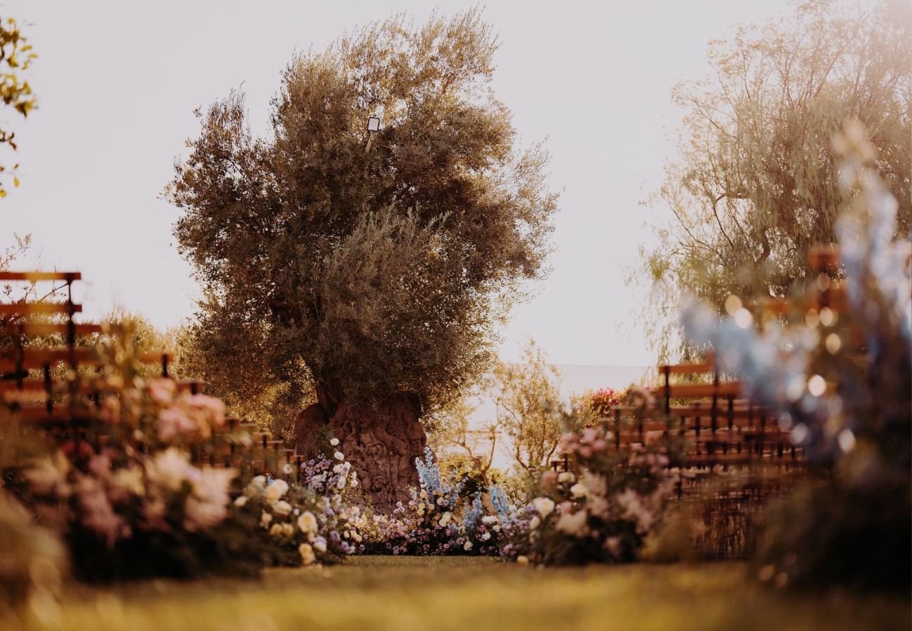 content creator prezzo