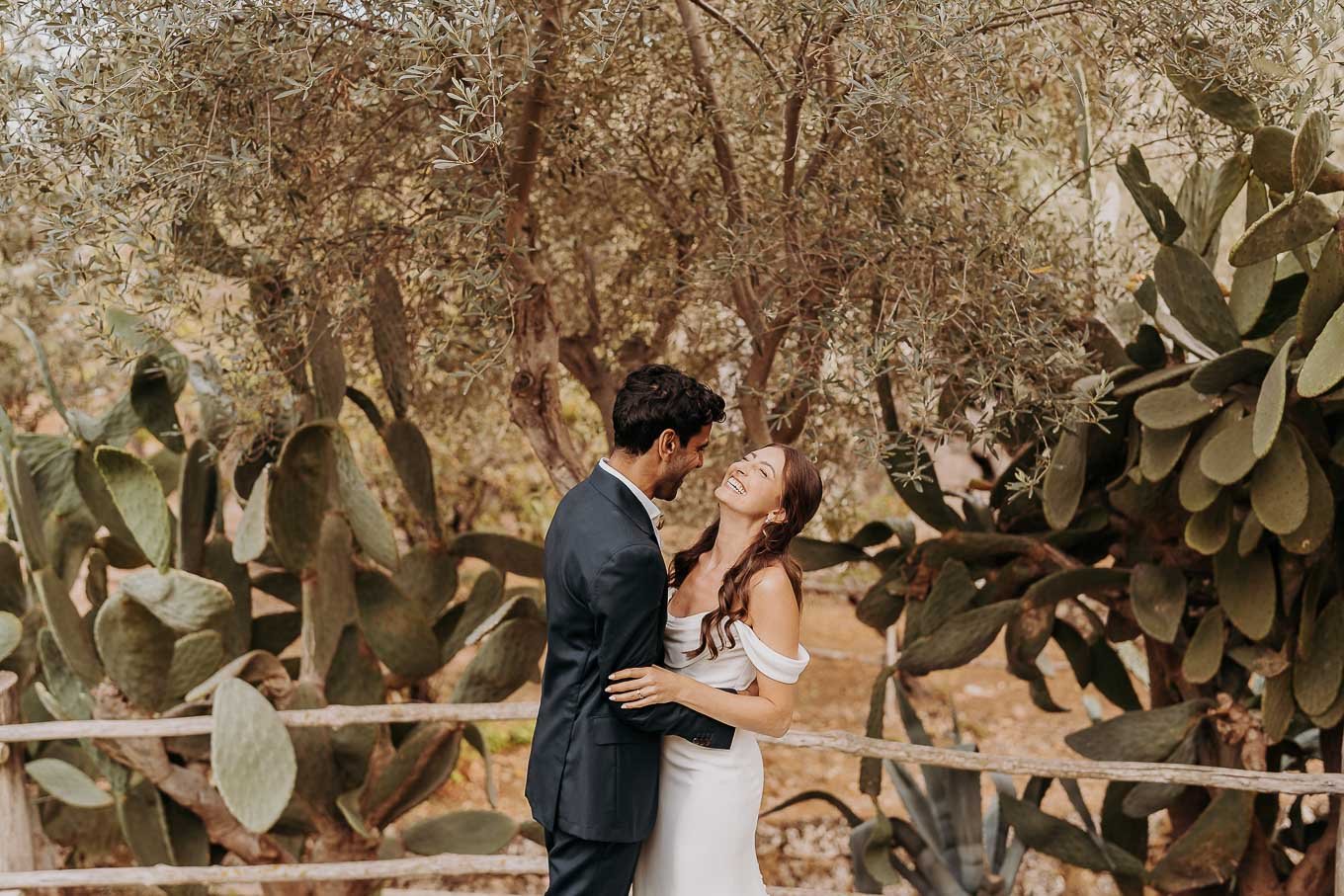 masseria alchimia239