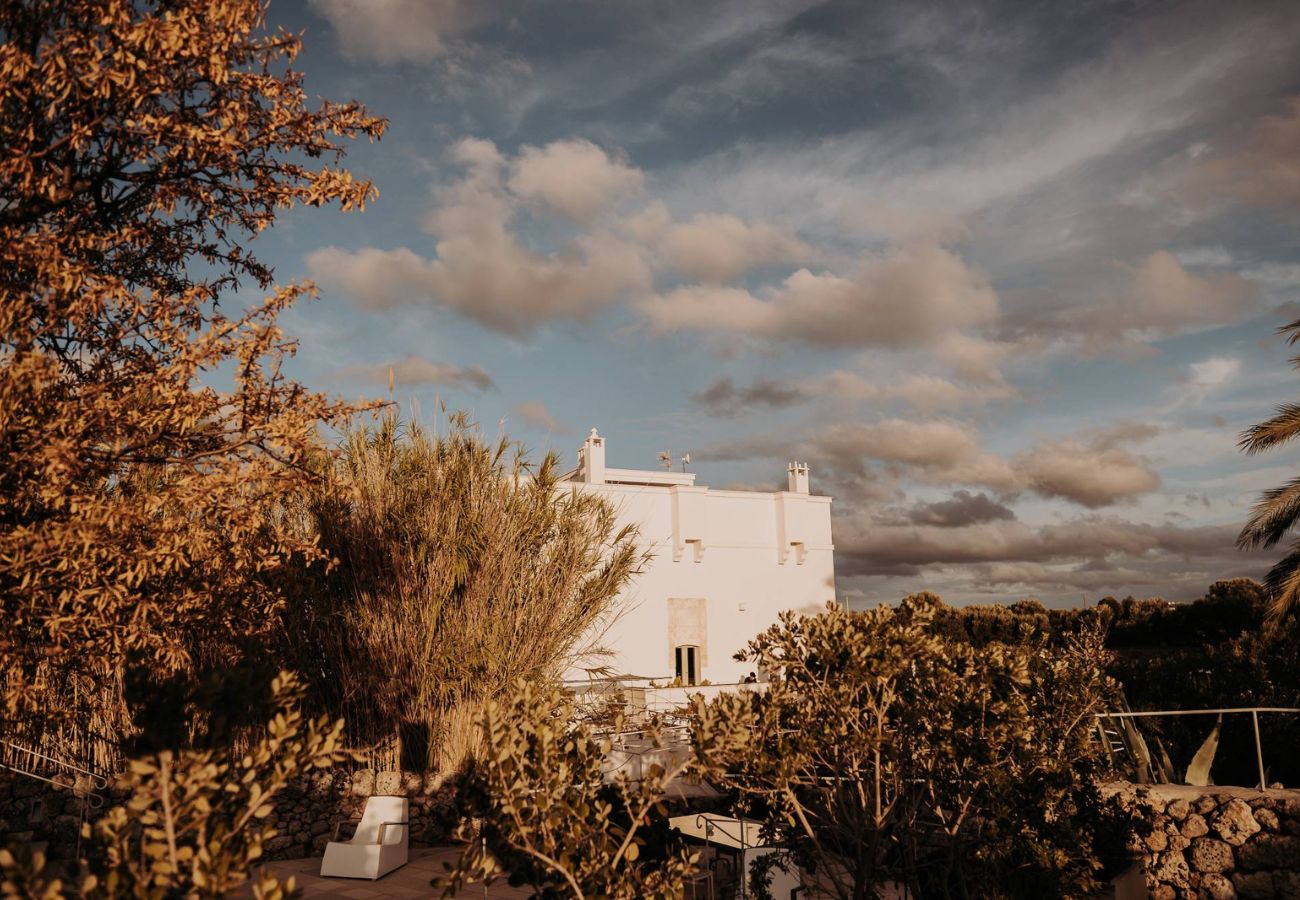 masseria alchimia