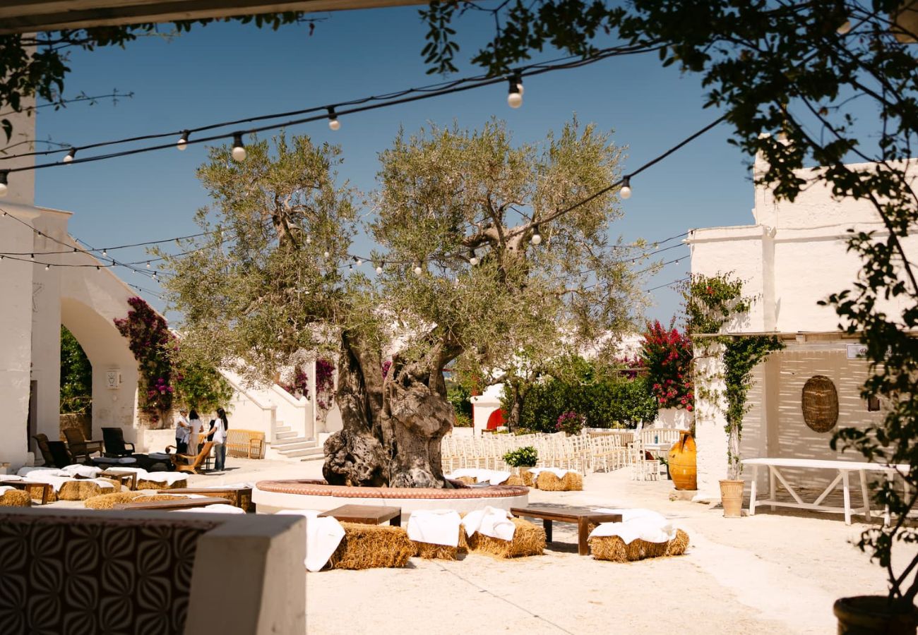 torre coccaro masseria