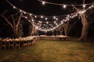 matrimonio-nel-bosco-tenuta-tresca200_original