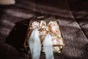 wedding-photographer-bari44_original