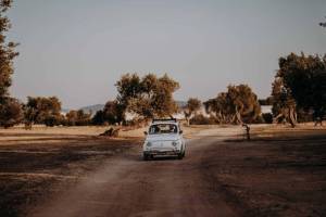 masseria-san-nicola-fasano-147-_original