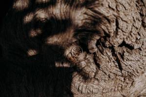 masseria-san-nicola-fasano-25-_original