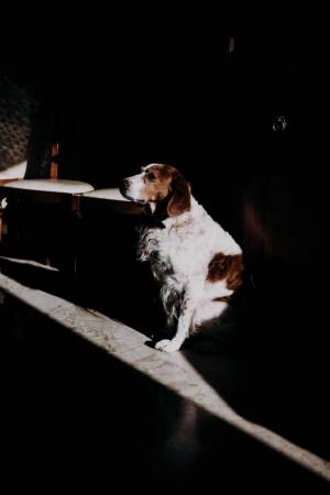 abbazia-di-san-lorenzo-FASANO-21-_original