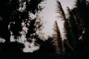 wedding-at-masseria-la-macina72_original