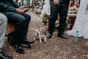 wedding-at-tenuta-tresca46_original