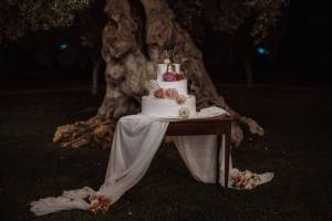 civil-ceremony-at-masseria-don-luigi177_original