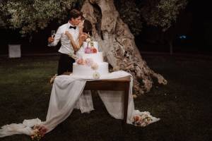 civil-ceremony-at-masseria-don-luigi183_original