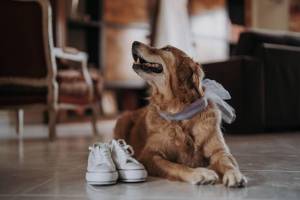 matrimonio-a-masseria-montalbano10_original