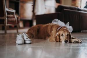 wedding-at-masseria-montalbano11_original