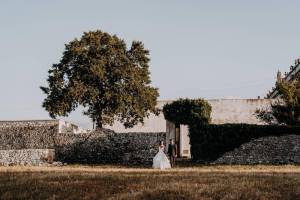 masseria-palesi150_original