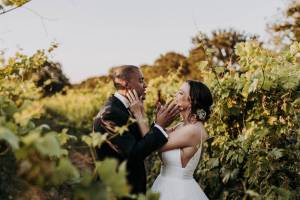 masseria-palesi158_original