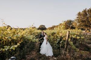 masseria-palesi167_original