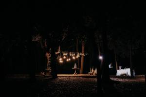 masseria-palesi279_original