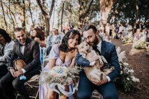 gay-wedding101_original