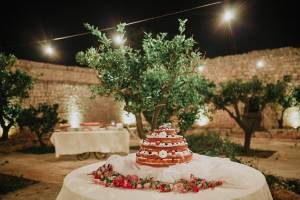 matrimonio-masseria-casamassima125_original