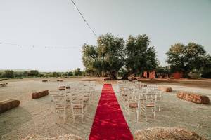 matrimonio-masseria-casamassima39_original