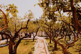 masseria-mozzone00003_original