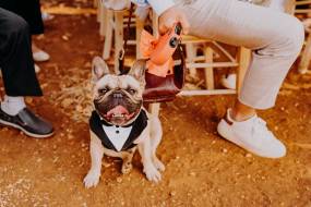 masseria-mozzone00051_original