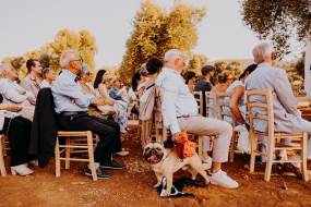 masseria-mozzone00068_original