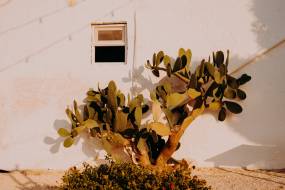 masseria-mozzone00137_original