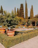 il-salviatino-firenze20_original