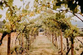 borgo-di-recenza5_original