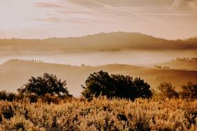 lupaia-wedding-in-tuscany5_original