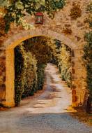 castello-di-fighine17_original