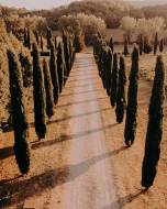villa-la-selva-wine-resort20_original