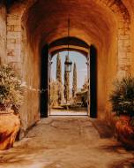 villa-medicea-di-lilliano26_original