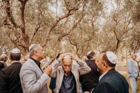 masseria-alchimia125_original