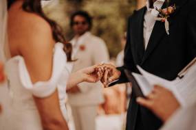 masseria-alchimia201_original