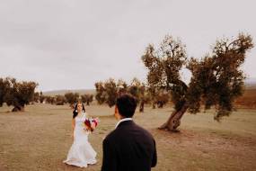 masseria-amastuola-wine-resort170_original