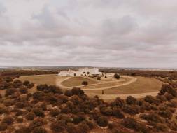 masseria-amastuola-wine-resort40_original