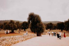 masseria-mozzone124_original