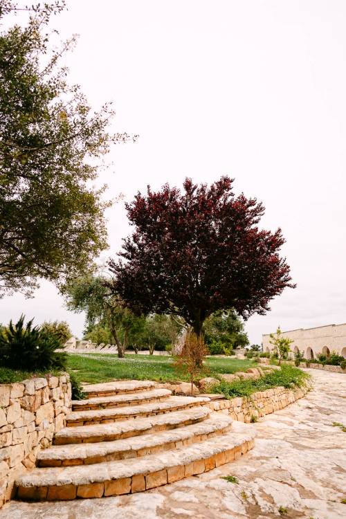 masseria-grieco00036_original