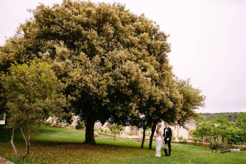 masseria-grieco00126_original