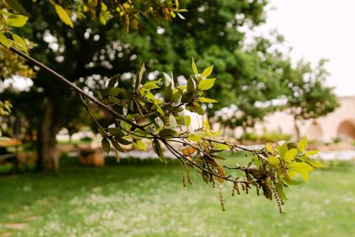 matrimonio-masseria-grieco47_original