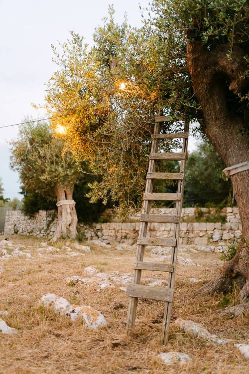 intimate-wedding-masseria-san-paolo-grande147_original