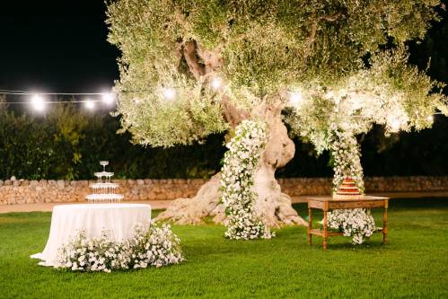 matrimonio-masseria-don-luigi122_original