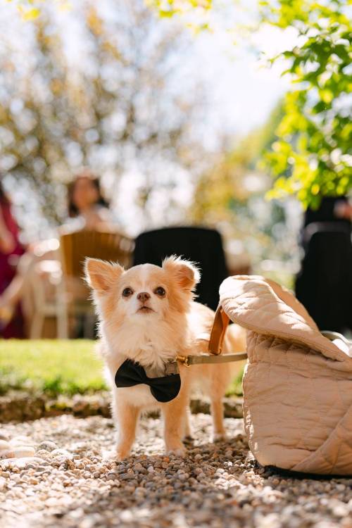wedding-como-lake-126_original